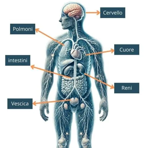 effetti della SLA sul corpo