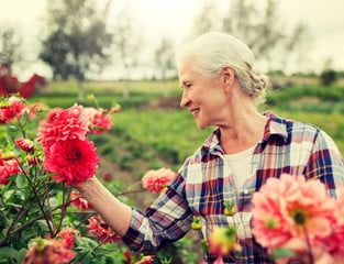 il giardinaggio è un'ottima attività per anziani